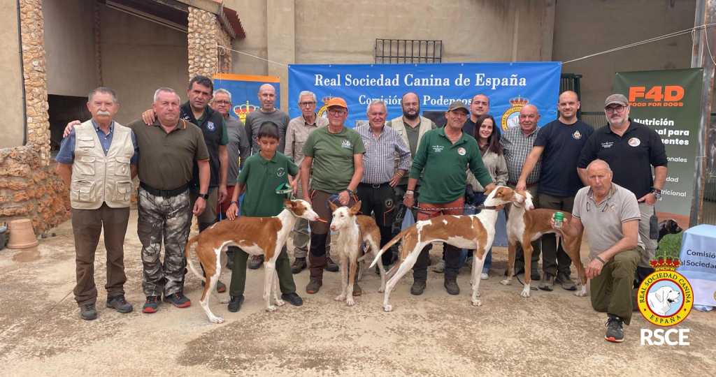 Los podencos españoles protagonizan la IV Copa de Trabajo disputada en Albacete.